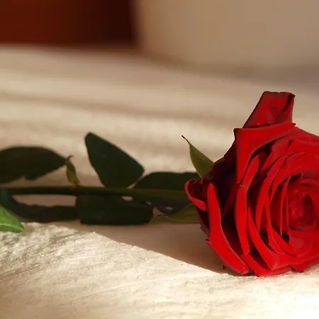 Altes Doktorhaus - Garni Hotel