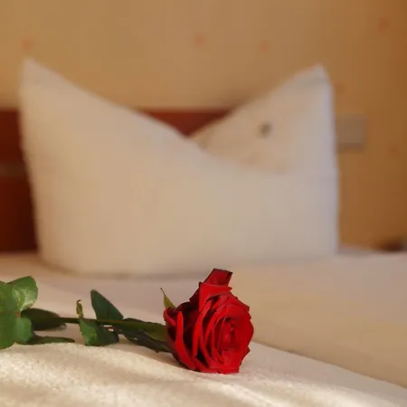 Altes Doktorhaus - Garni Hotel Willingen (Upland)