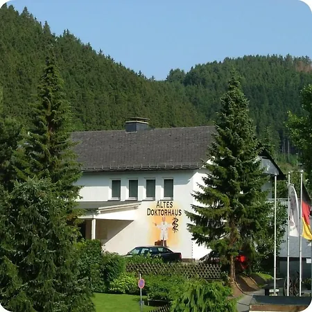Altes Doktorhaus - Garni Willingen (Upland)