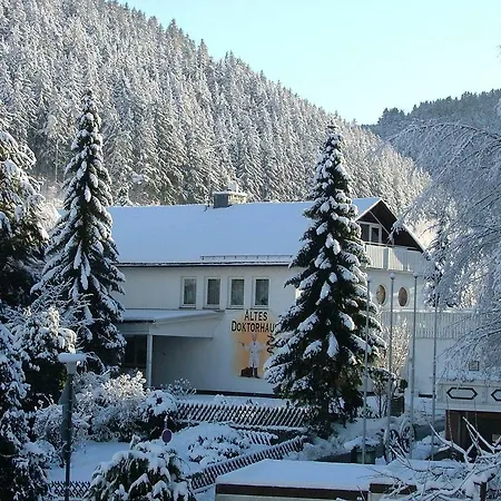 Altes Doktorhaus - Garni Hotel Willingen (Upland)
