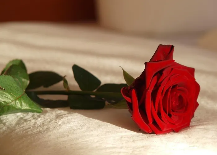 Altes Doktorhaus - Garni Hotel